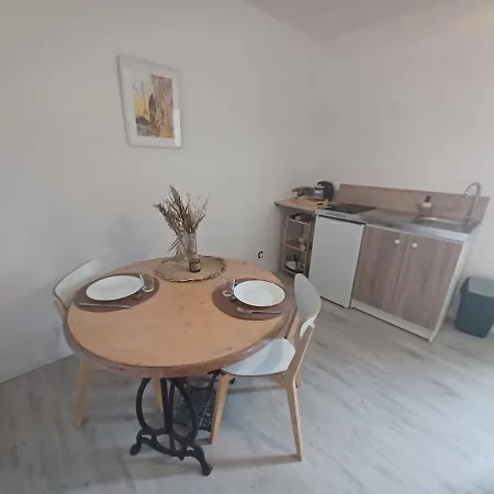 Calme Et Charme A La Campagne - Wendy Apartment Garrevaques