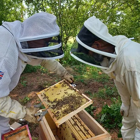 Apartment Calme Et Charme A La Campagne - Wendy
