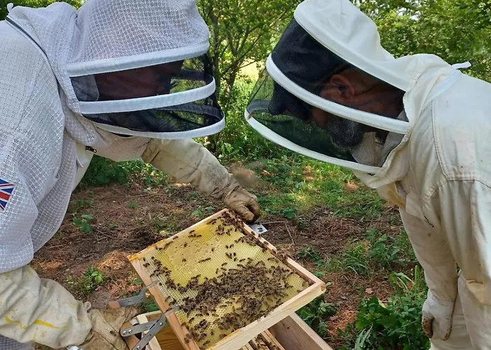 Lejlighed Garrevaques, Le Wendy, Calme Et Charme A La Campagne